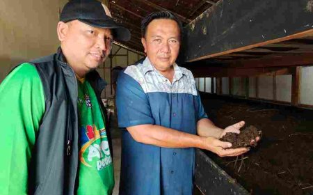 Inovasi Ade Gunawan Kembangkan Ternak Cacing ANC, Dari Umpan Pancing hingga Pupuk Organik