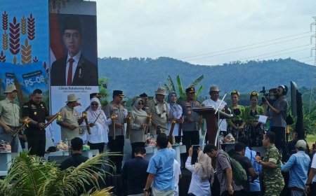 Dari Sawah Carita untuk Indonesia: 753 Hektar Padi Organik PS-08 Siap Perkuat Ketahanan Pangan