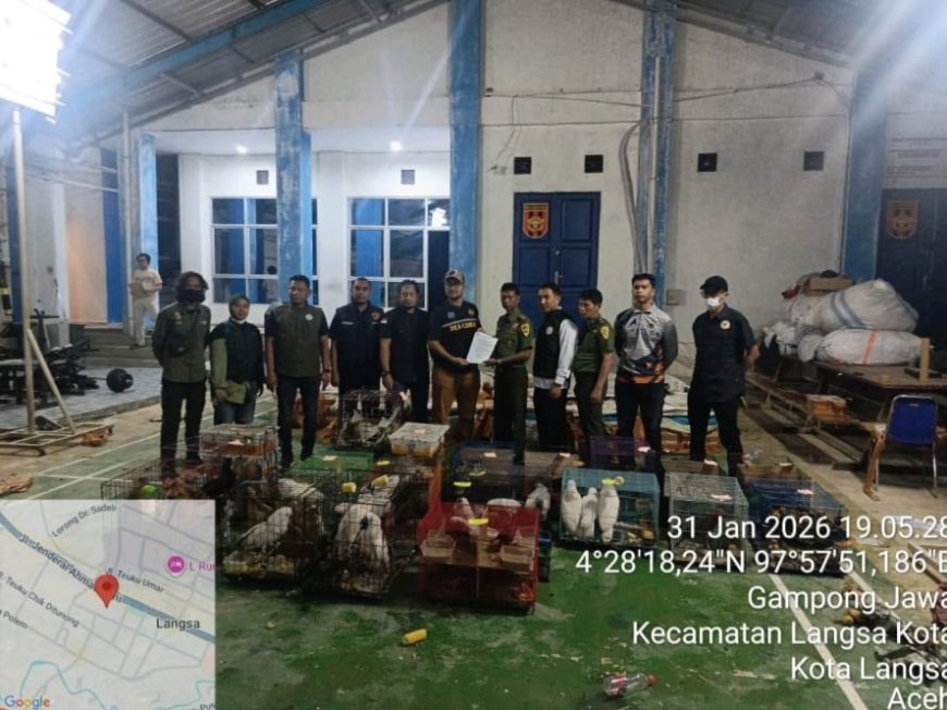 Balai Gakkum Kehutanan Bongkar Penyelundupan Satwa Dilindungi di Aceh