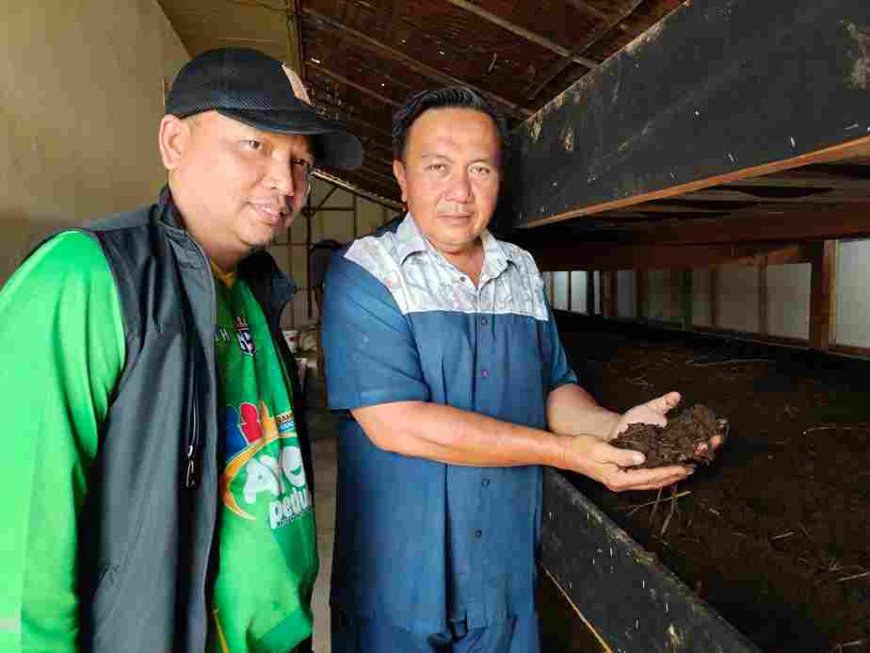 Inovasi Ade Gunawan Kembangkan Ternak Cacing ANC, Dari Umpan Pancing hingga Pupuk Organik