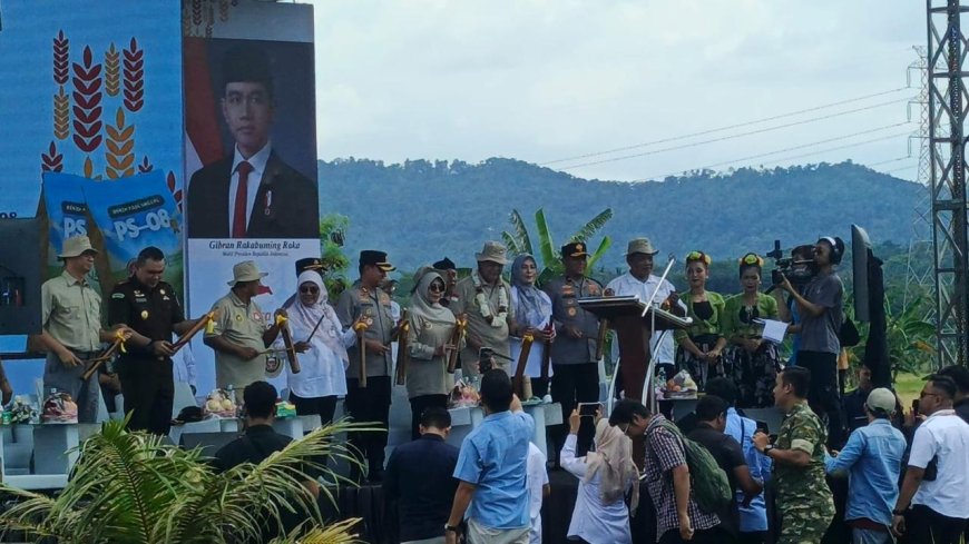 Dari Sawah Carita untuk Indonesia: 753 Hektar Padi Organik PS-08 Siap Perkuat Ketahanan Pangan