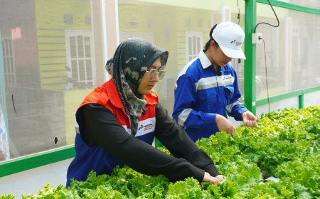 Pertamina Patra Niaga Perkuat Pemberdayaan Perempuan di 49 Wilayah, 695 Perempuan Dapat Pendampingan Ekonomi dan Sosial