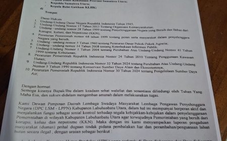Hutan Dirambah Di Sukarame LSM LPPN Desak Dinas Kehutanan Sumut Tindak Tegas Pelaku