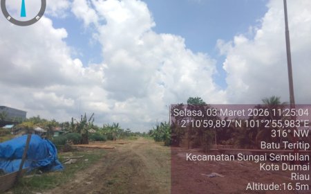 Isu Izin Konsesi Berakhir Dibantah PT DRT, Aktivis Minta Pembangunan di Kawasan Hutan Patuhi Aturan