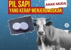 Viral! Remaja asal Magelang Ditangkap Warga Bantul Usai Konsumsi Pil Sapi