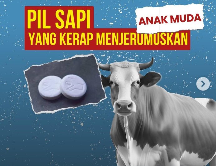 Viral! Remaja asal Magelang Ditangkap Warga Bantul Usai Konsumsi Pil Sapi