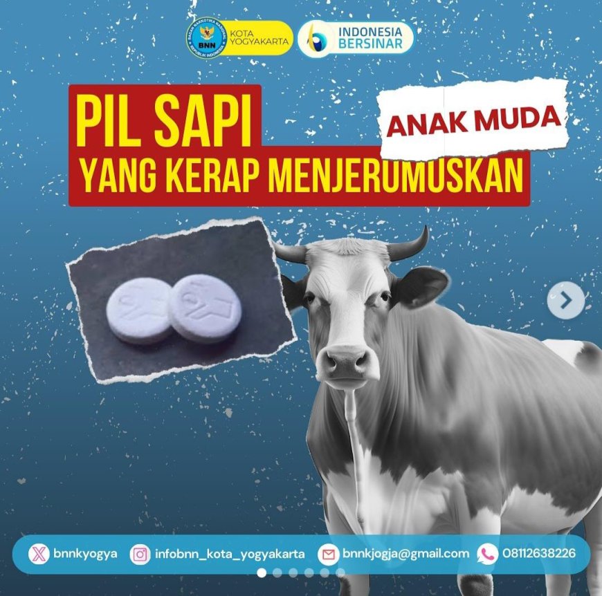 Viral! Remaja asal Magelang Ditangkap Warga Bantul Usai Konsumsi Pil Sapi