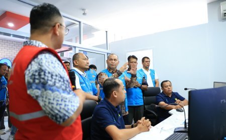 Komisi VI DPR RI Kunjungi PLN UID Riau dan Kepri, Bahas Penguatan Keandalan Kelistrikan