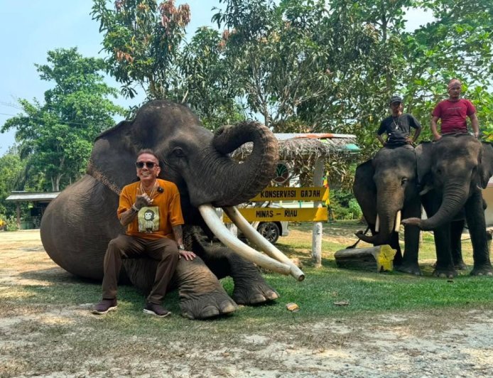 Jaga Satwa Indonesia, Jangan Biarkan Harimau Sumatra, Orangutan, dan Gajah Kehilangan Rumah