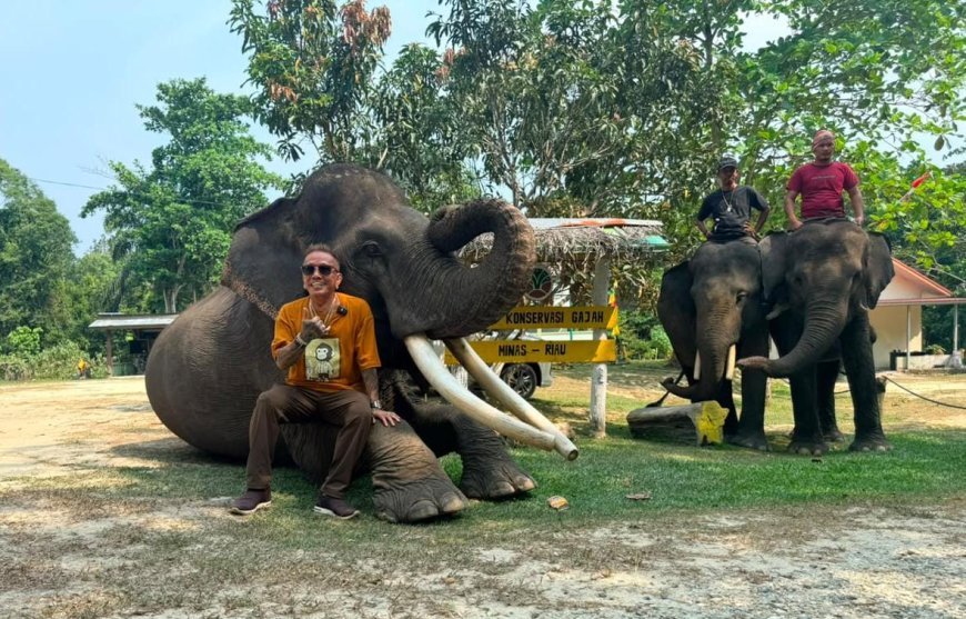 Jaga Satwa Indonesia, Jangan Biarkan Harimau Sumatra, Orangutan, dan Gajah Kehilangan Rumah